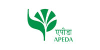 Logo 8